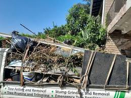 Best Residential Junk Removal in Dale, IN